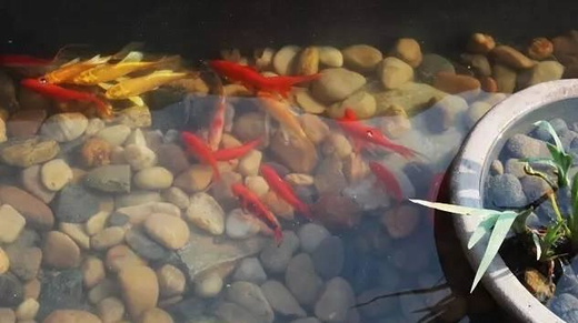 農(nóng)村別墅裝修